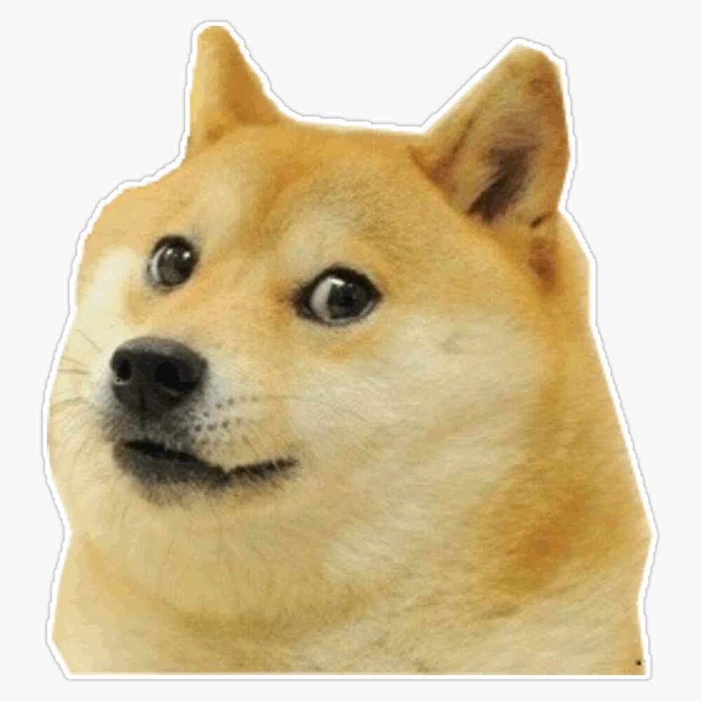 doge